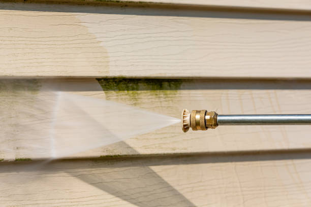 Best Roof Power Washing Services  in Eudora, AR